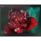 LENOVO X1 TABLET | Intel Core i5-8250U | Intel UHD Graphics 620 | 8GB RAM | 256GB SSD | 13-inch QHD+ Touch (3000 x 2000)